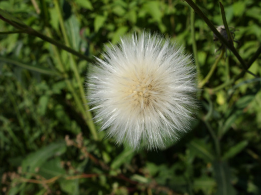 431794 (a): :1600x1200